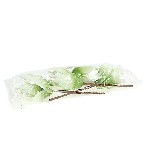 Floristik24 Magnolia blomstre lavet af skummateriale hvidgrøn Ø10cm L26cm 4stk