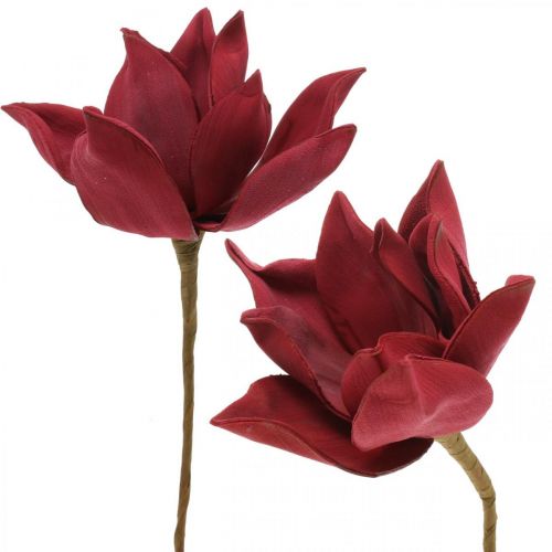 Floristik24 Kunstig Magnolia Rød Kunstig Blomst Skum Blomsterdekoration Ø10cm 6 stk.