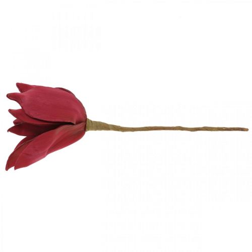 Floristik24 Kunstig Magnolia Rød Kunstig Blomst Skum Blomsterdekoration Ø10cm 6 stk.