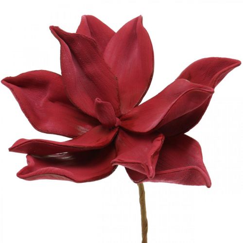 Floristik24 Kunstig Magnolia Rød Kunstig Blomst Skum Blomsterdekoration Ø10cm 6 stk.