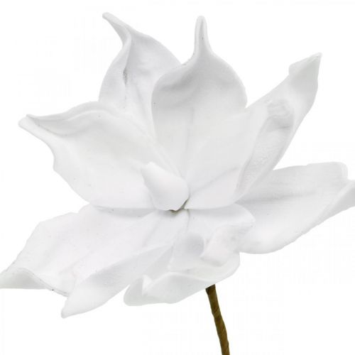 Floristik24 Kunstig magnolia hvid kunstig blomst på pind Ø10cm Skum 6 stk