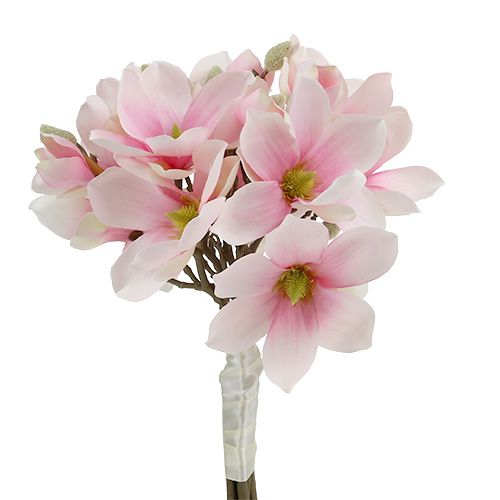 Floristik24 Magnolia bundt pink 40cm 5stk