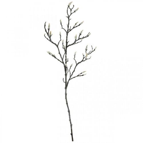 Floristik24 Spring Magnolia Branch Knop Kunstig Gren Brun Hvid L100cm