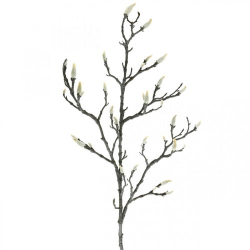 Floristik24 Spring Magnolia Branch Knop Kunstig Gren Brun Hvid L100cm