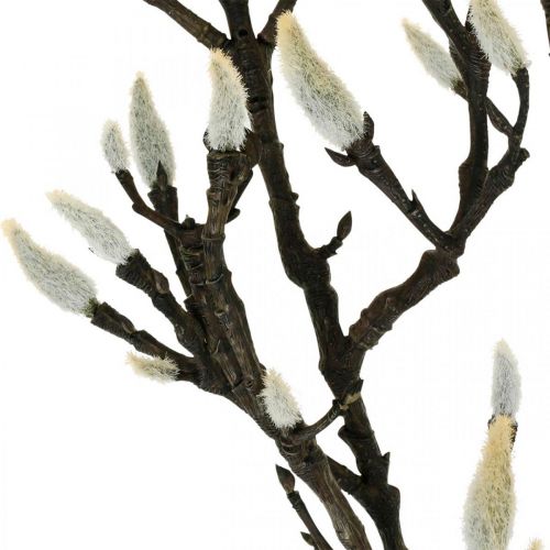 Artikel Kunstig Magnolia-gren Forårsdekorationsgren med knopper Brun Hvid L135cm