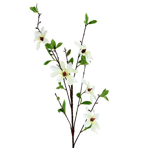 Floristik24 Magnolia gren hvidgrøn 94cm