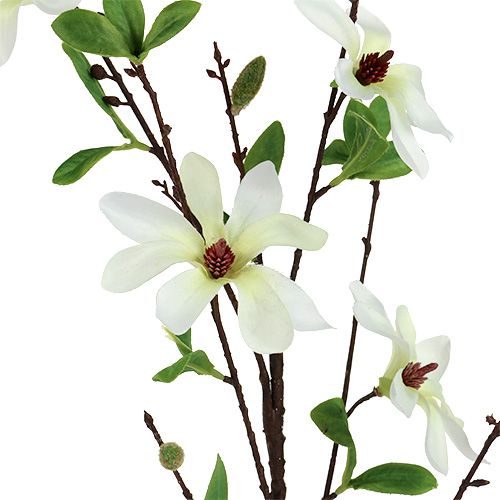 Artikel Magnolia gren hvidgrøn 94cm