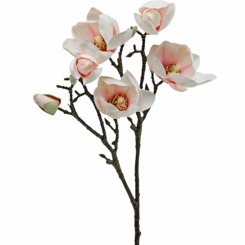 Floristik24 Magnolia Branch Pink kunstige Magnolia Silke Blomster