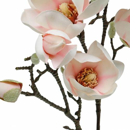 Floristik24 Magnolia Branch Pink kunstige Magnolia Silke Blomster