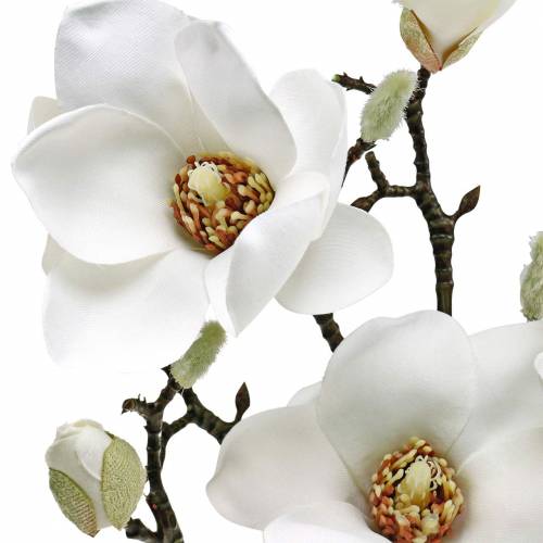 Artikel Magnolia gren hvid Dekorativ gren magnolia kunstig blomst