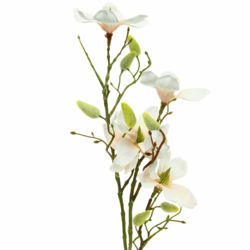 Magnolia Peach 85 cm