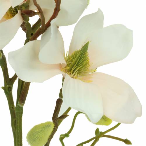 Artikel Magnolia Peach 85 cm