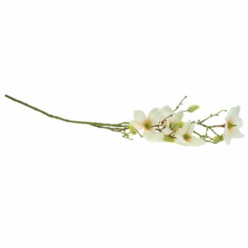 Artikel Magnolia Peach 85 cm