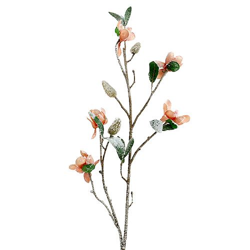 Floristik24 Magnolia gren lyserosa L 82cm