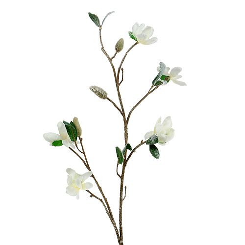 Magnolia gren hvid L 82cm med sne
