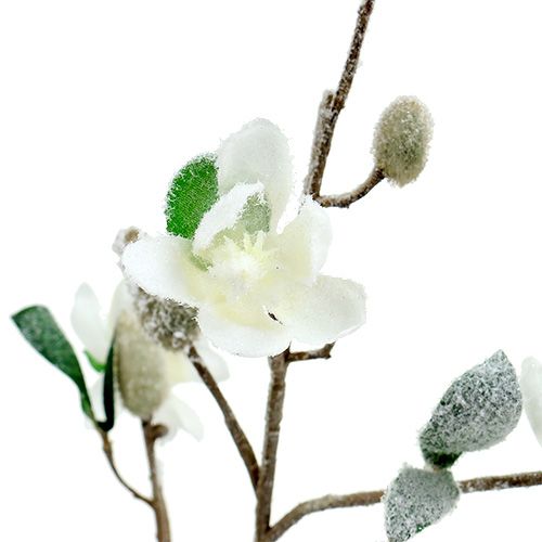 Artikel Magnolia gren hvid L 82cm med sne