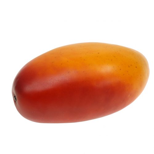 Floristik24 Mango 14cm x 7cm_da