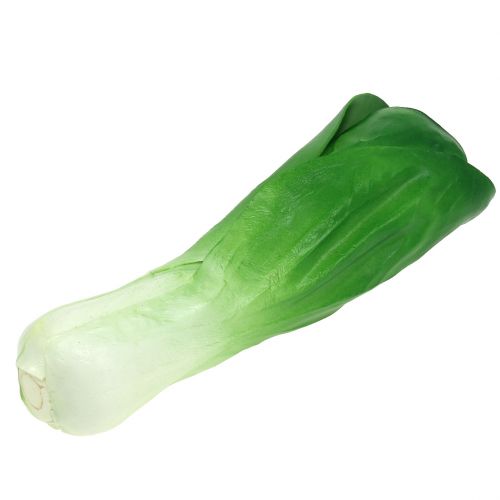 Floristik24 Dekorativ vegetabilsk chard 25,5 cm