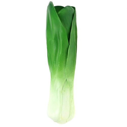 Floristik24 Dekorativ vegetabilsk chard 25,5 cm