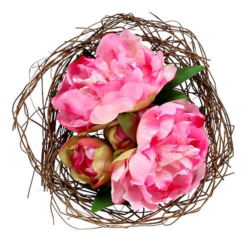 Floristik24 Vine manchet Ø20cm naturlig 8stk