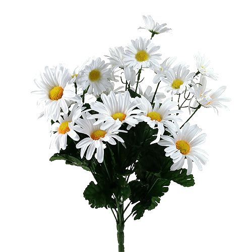 Floristik24 Daisy buket hvid 45cm