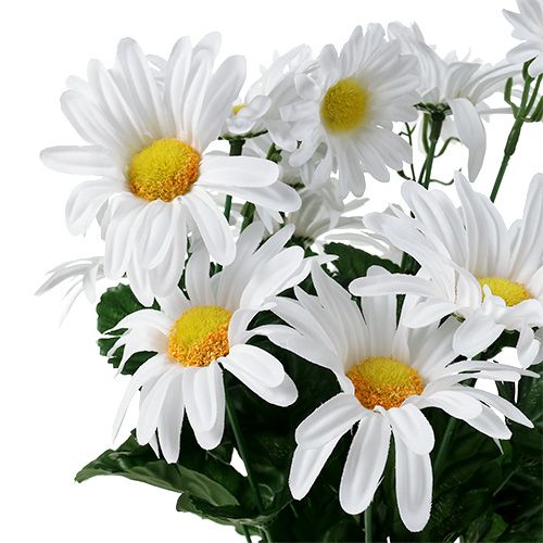 Artikel Daisy buket hvid 45cm