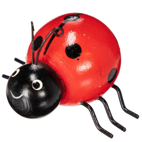 Artikel Træmariehøns/lykkebøl som sød dekoration til hjemmet, 5 cm, 6 stk.