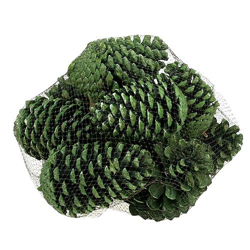 Artikel Maritima kogler 10cm - 16cm grøn frostet 12 stk