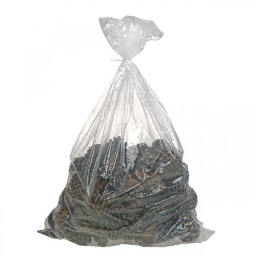 Artikel Maritima kogler, sørgeblomster, adventsdekoration, naturprodukt H12-15cm Ø6,5-10cm 50 stk.