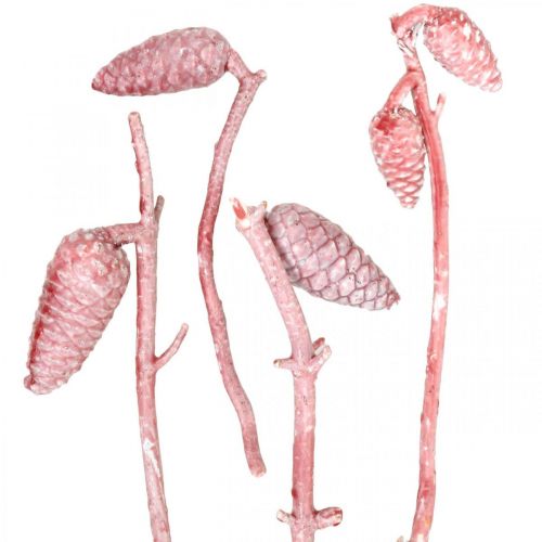 Maritim kegle på gren pink/hvid vokset 400g