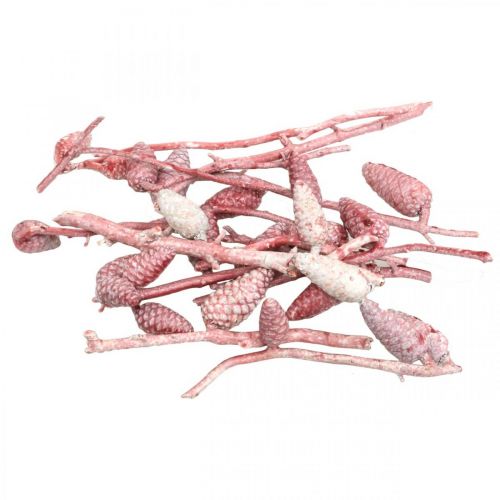 Floristik24 Maritim kegle på gren pink/hvid vokset 400g