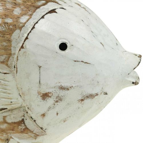 Floristik24 Maritim dekoration fisk træ træfisk shabby chic 17×8cm