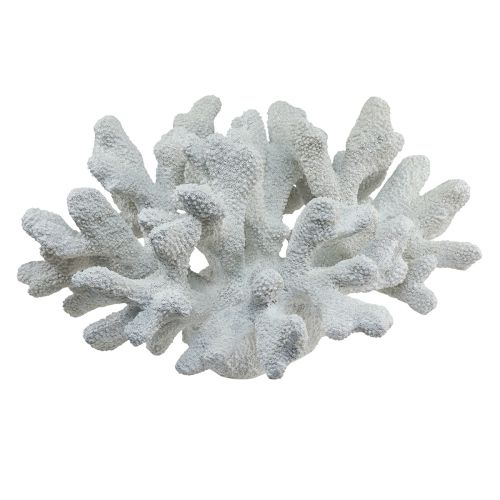 Floristik24 Maritim dekoration koral polyresin hvid 38cm × 44cm × 27cm