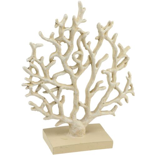 Floristik24 Maritim borddekoration koral beige dekorativ koral polyresin H20cm