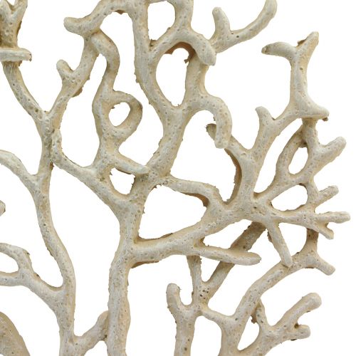 Floristik24 Maritim borddekoration koral beige dekorativ koral polyresin H20cm