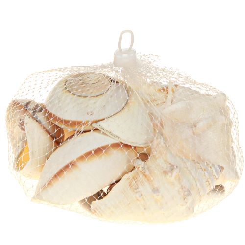 Artikel Søsnegleskal, maritim natur, 400g