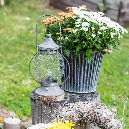 Floristik24 Metallygte, LED -lampe, Shabby Chic Ø16cm H33,5cm