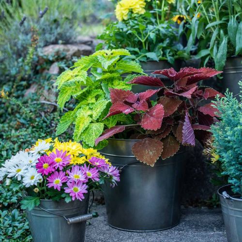 Floristik24 Metalkar, plantespand, metaldekoration Ø27cm H25cm