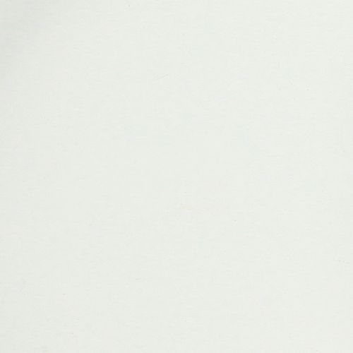 Artikel Bakke med praktiske håndtag til alsidig brug i hjemmet og cateringbranchen, 22 cm