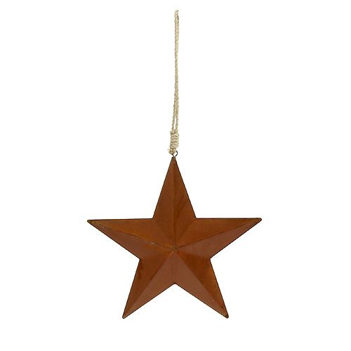 Floristik24 Metalstjerne til hængende rust 21cm