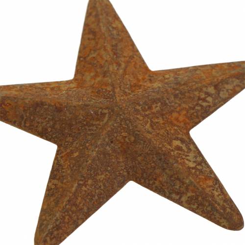 Floristik24 Stjerne patina metal 5cm 24 stk