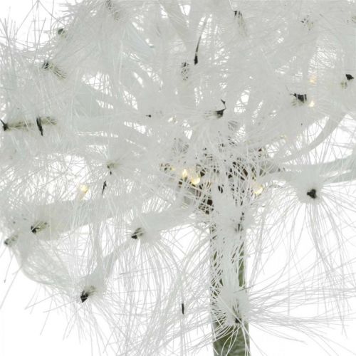 Floristik24 LED mælkebøtte til batteri hvid kunstig blomsterbelysning H50cm