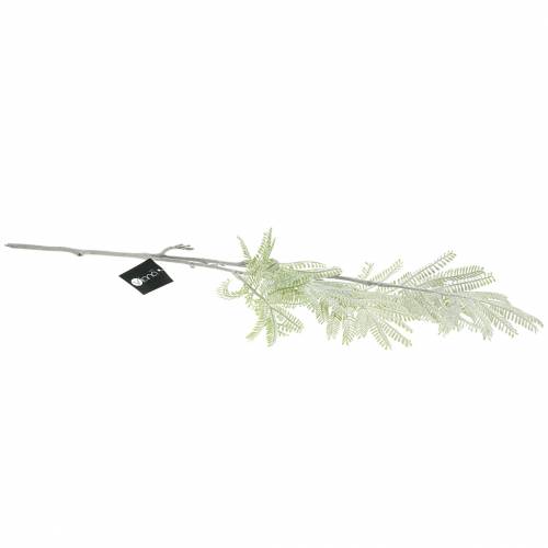 Artikel Dekorativ gren mimosa grøn frosteffekt 63cm