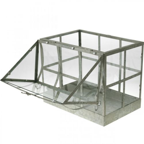 Floristik24 Mini Drivhus Lille Dekorativt Glashus Metal Glas H51cm