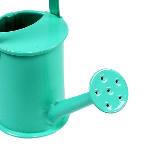 Floristik24 Mini vanding dåser pastel sortiment. Ø4cm 12p