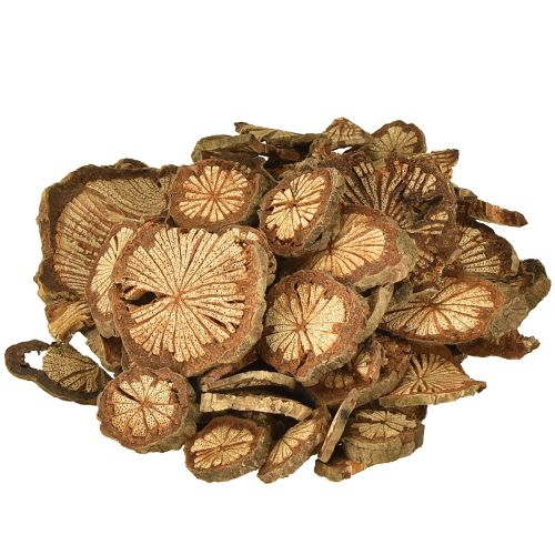 Mini træskiver betelnøddedekoration med åretegninger 1-4,5 cm 300 g