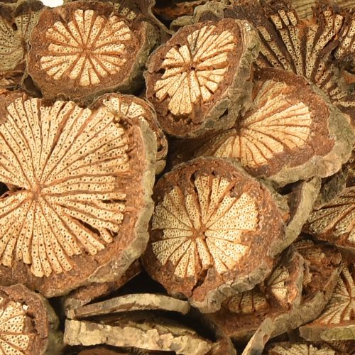 Artikel Mini træskiver betelnøddedekoration med åretegninger 1-4,5 cm 300 g