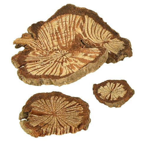 Artikel Mini træskiver betelnøddedekoration med åretegninger 1-4,5 cm 300 g