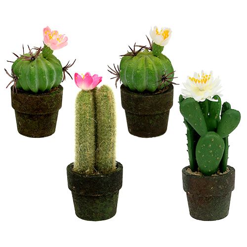 Mini kaktus med blomster H9-12cm 4stk