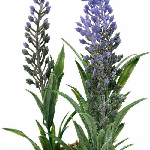Floristik24 Mini lavendel i potte kunstige planter Kunstig lavendel dekoration